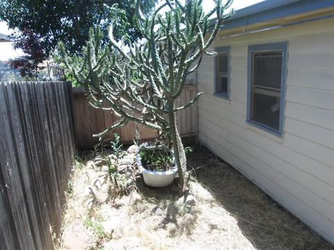 6910 Oregon Ave, La Mesa, CA 91942 photo 18