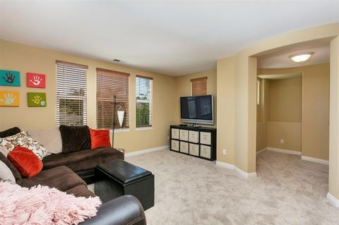 7079 Cordgrass Ct, Carlsbad, CA 92011 photo 19