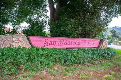 615 Cox Rd, San Marcos, CA 92069 photo 24