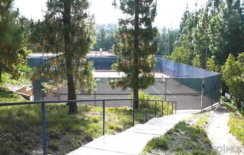 1920 Larkspur Dr, Alpine, CA 91901 photo 23