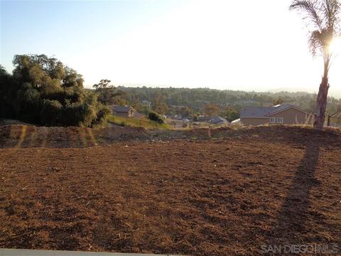 1990 Brady Jane Ln, Alpine, CA 91901 photo 13