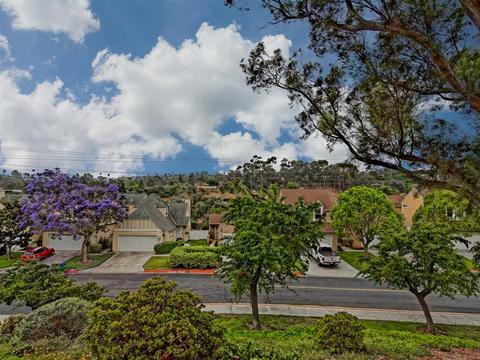 4541 Lambeth Ct, Carlsbad, CA 92010 photo 22