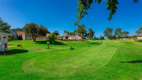 1814 Forestdale Dr, Encinitas, CA 92024 photo 10