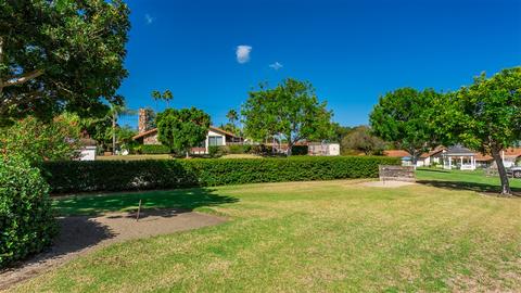 1814 Forestdale Dr, Encinitas, CA 92024 photo 11