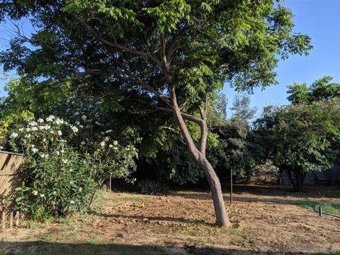 1258 Palmer, Riverside, CA 92507 photo 8
