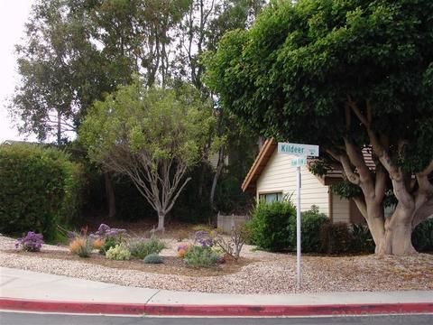 1152 Kildeer Ct, Encinitas, CA 92024 photo 18
