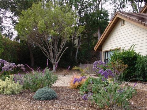 1152 Kildeer Ct, Encinitas, CA 92024 photo 19
