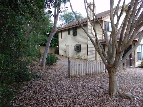 1152 Kildeer Ct, Encinitas, CA 92024 photo 20