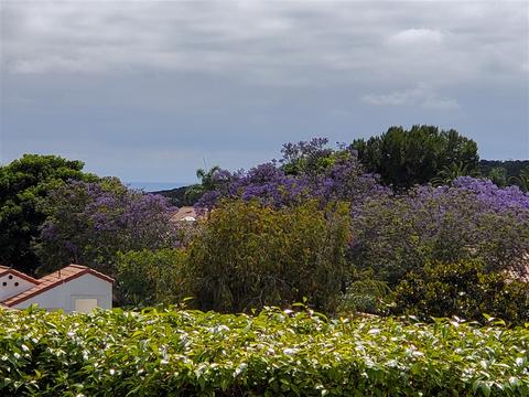4705 Barcelona Way, Oceanside, CA 92056 photo 20