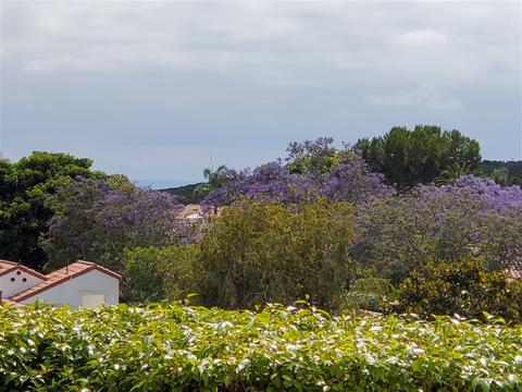 4705 Barcelona Way, Oceanside, CA 92056 photo 21