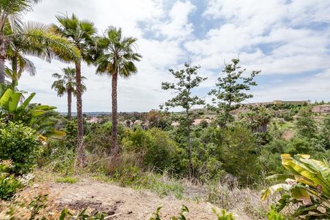 3546 Sitio Baya, Carlsbad, CA 92009 photo 21