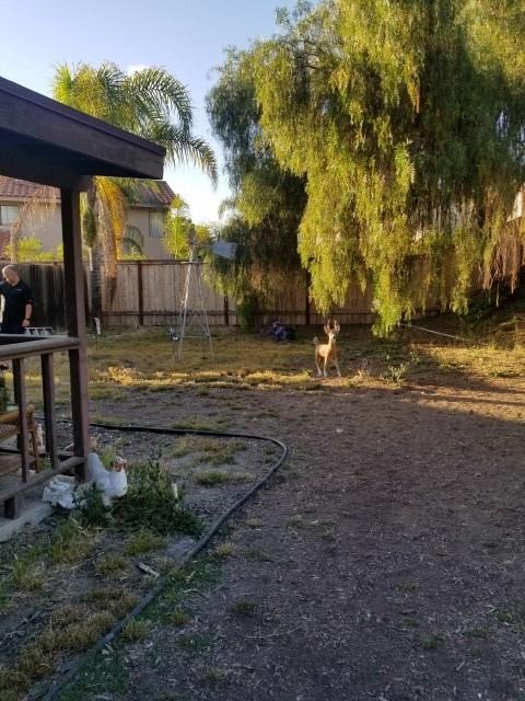 758 Lockwood Pl, Oceanside, CA 92057 photo 17