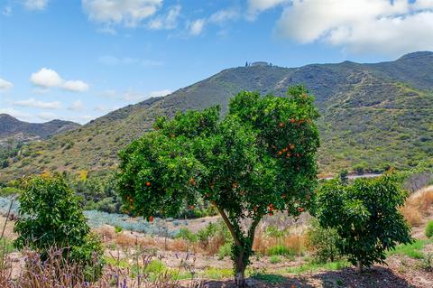 35916 Rice Canyon Rd, Fallbrook, CA 92028 photo 20