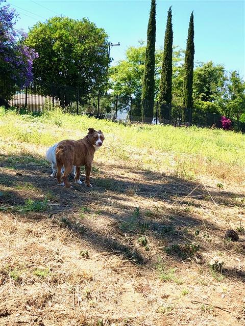 2804 E Mission Rd, Fallbrook, CA 92028 photo 12