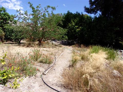 421 Compass Rd, Oceanside, CA 92054 photo 24