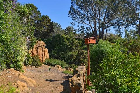 1530 Primavera Ln, Del Mar, CA 92014 photo 25