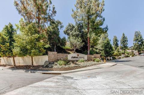 2561 Pimlico Pl, Alpine, CA 91901 photo 22