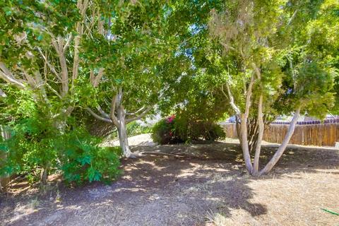 906 Galopago St, Spring Valley, CA 91977 photo 5