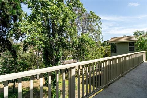 3191 Via De Caballo, Encinitas, CA 92024 photo 20