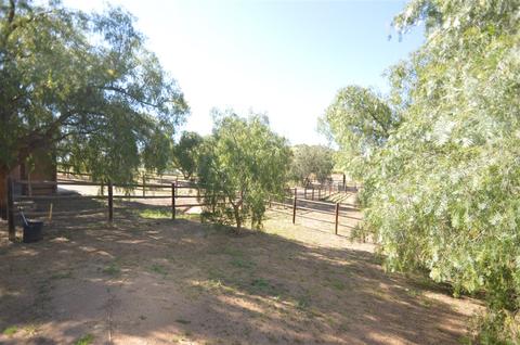 13905 Via De Jamul, Jamul, CA 91935 photo 23