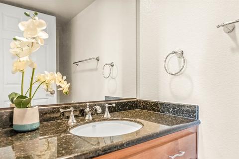 962 Alyssum Rd, Carlsbad, CA 92011 photo 18