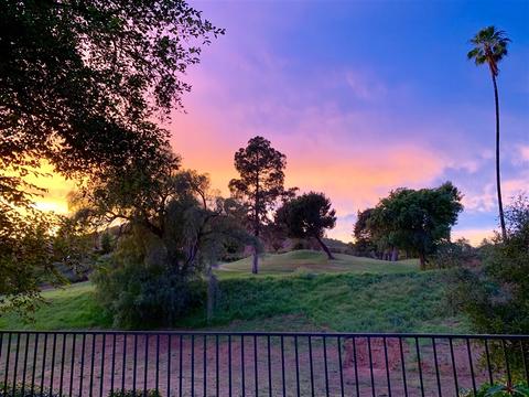 2711 Almendra Ct, Fallbrook, CA 92028 photo 13