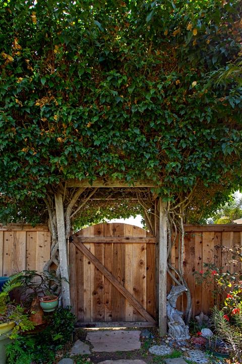 1338 Hermes, Encinitas, CA 92024 photo 25