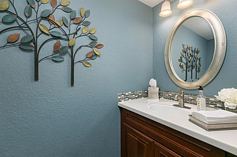 732 Lotus Blossom, Encinitas, CA 92024 photo 21