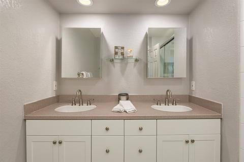 732 Lotus Blossom, Encinitas, CA 92024 photo 19
