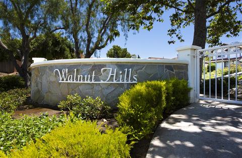 593 Silver Shadow Dr, San Marcos, CA 92078 photo 2