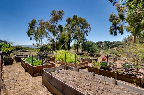 20218 Deerhorn Valley Rd, Jamul, CA 91935 photo 21