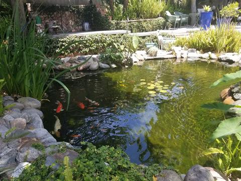 2286 Cameo Rd, Carlsbad, CA 92008 photo 2