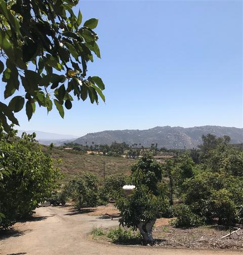 950 El Paseo, Vista, CA 92084 photo 9
