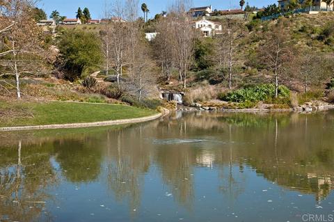 2230 Ivory Pl, Carlsbad, CA 92009 photo 21