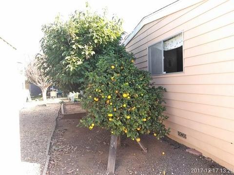 1010 E Bobier Dr #149, Vista, CA 92084 photo 5
