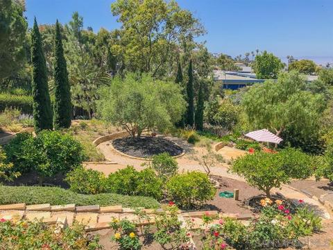 1231 W Muirlands Dr, La Jolla, CA 92037 photo 4