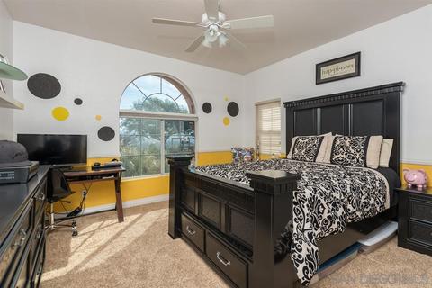 2593 Dortmund Pl, Alpine, CA 91901 photo 17