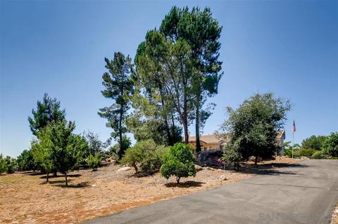1532 Roble Grande Ln, Alpine, CA 91901 photo 3