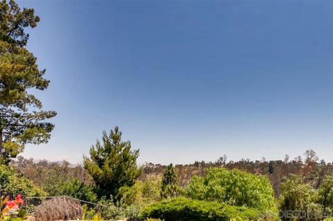 1532 Roble Grande Ln, Alpine, CA 91901 photo 23