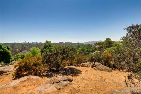 1532 Roble Grande Ln, Alpine, CA 91901 photo 22