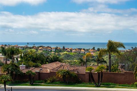 1679 Bella Laguna Ct, Encinitas, CA 92024 photo 22