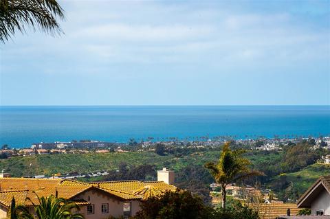 1679 Bella Laguna Ct, Encinitas, CA 92024 photo 23