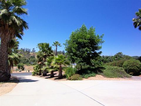 942 Buena Suerte, Fallbrook, CA 92028 photo 5