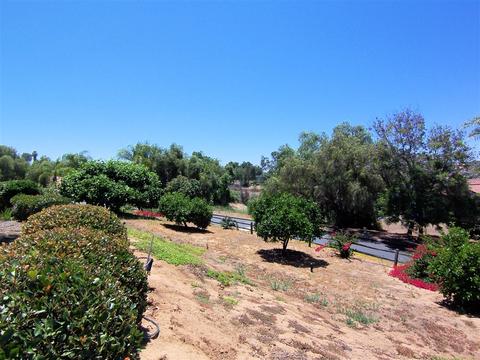 942 Buena Suerte, Fallbrook, CA 92028 photo 7