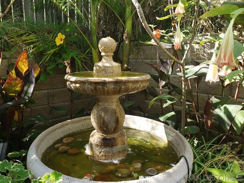 3909 Reche Rd #134, Fallbrook, CA 92028 photo 19