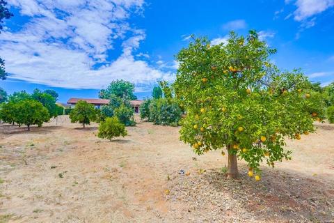 2063 Summit Dr, Escondido, CA 92025 photo 25