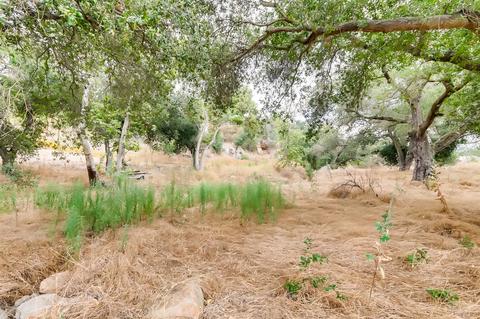 14871 Highland Hts, Jamul, CA 91935 photo 22