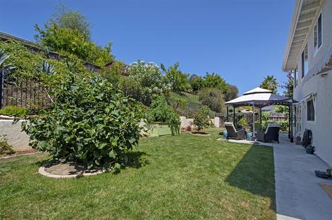 324 Trailview Rd, Encinitas, CA 92024 photo 21