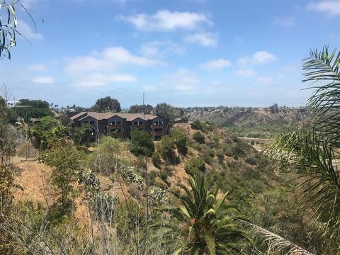 913 Hillcrest Pl, Oceanside, CA 92058 photo 13