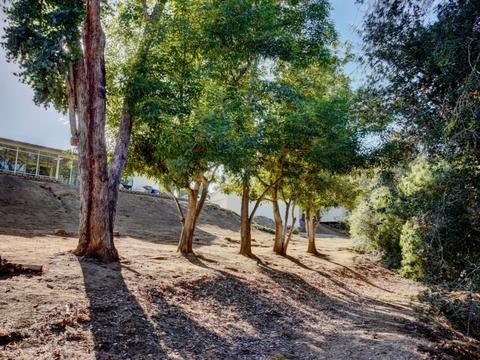 4054 Palomar Dr, Fallbrook, CA 92028 photo 23